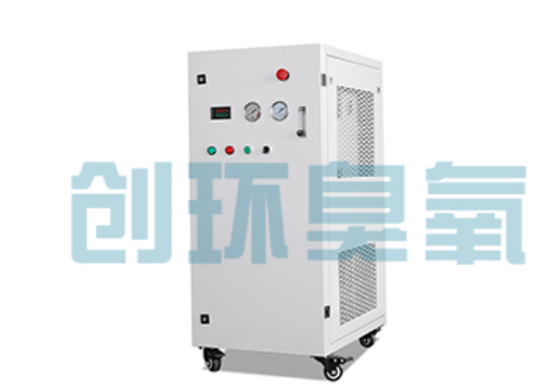 灵寿石斑鱼养殖水质调控完整指南:臭氧发生器配置与操作步骤