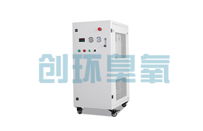 灵寿比传统换水更高效?臭氧发生器在石斑鱼养殖中的水质净化原理解析