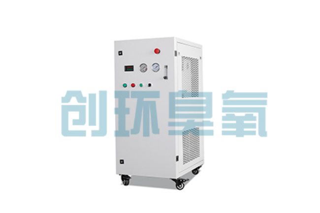 灵寿比传统换水更高效？臭氧发生器在石斑鱼养殖中的水质净化原理解析